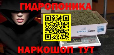 mdma Дубна