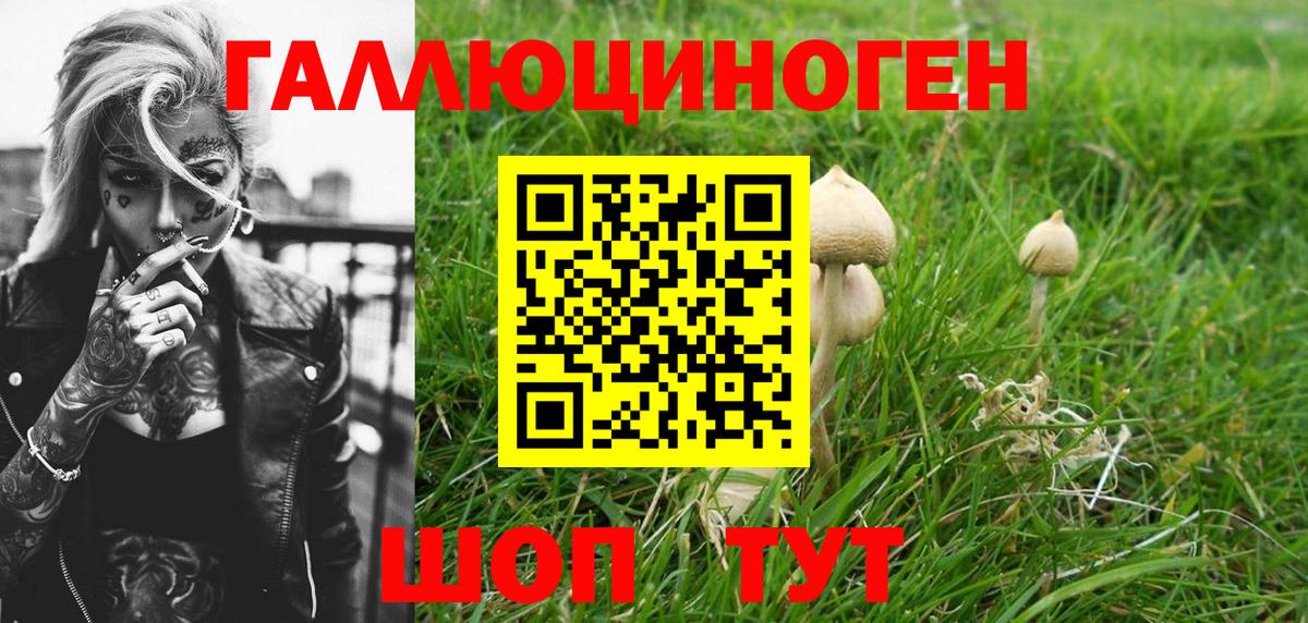 Псилоцибиновые грибы GOLDEN TEACHER  Вход с VPN  Воркута  Псилоцибиновые грибы Cubensis 