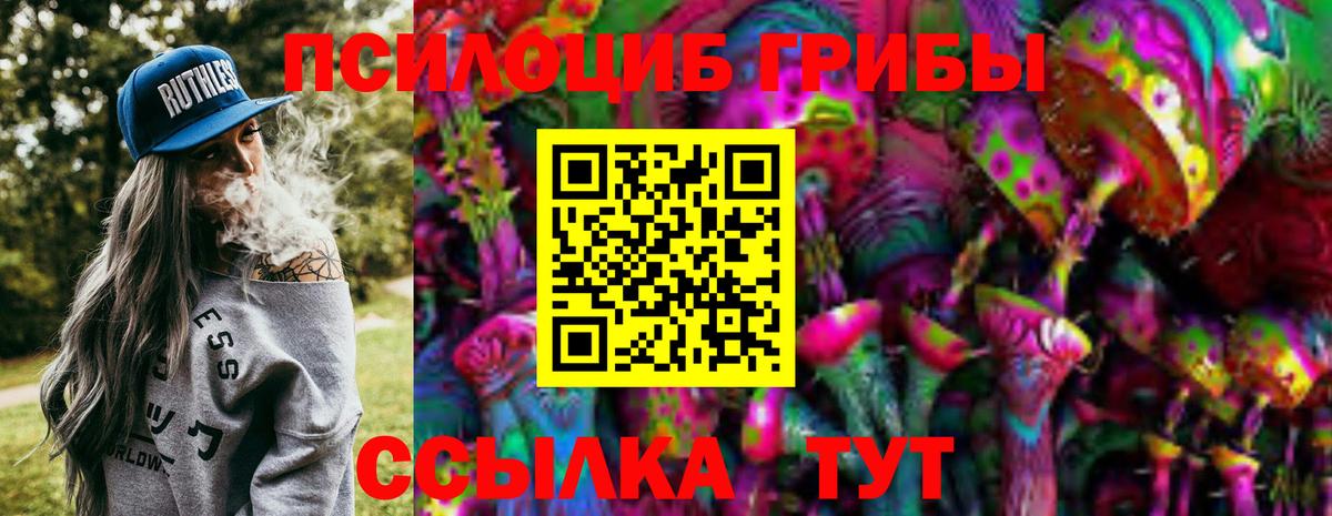 Псилоцибиновые грибы мухоморы Воркута